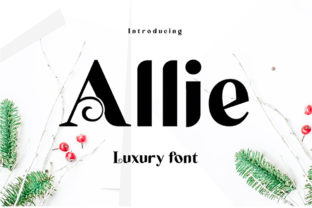 Allie: A Modern and Elegant Display Font for Creative Projects